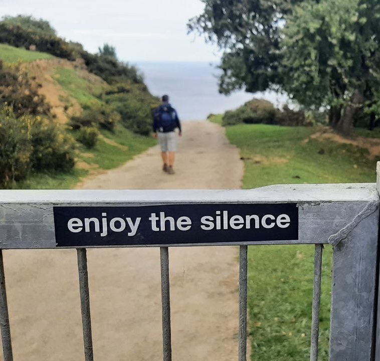 Enjoy the silence