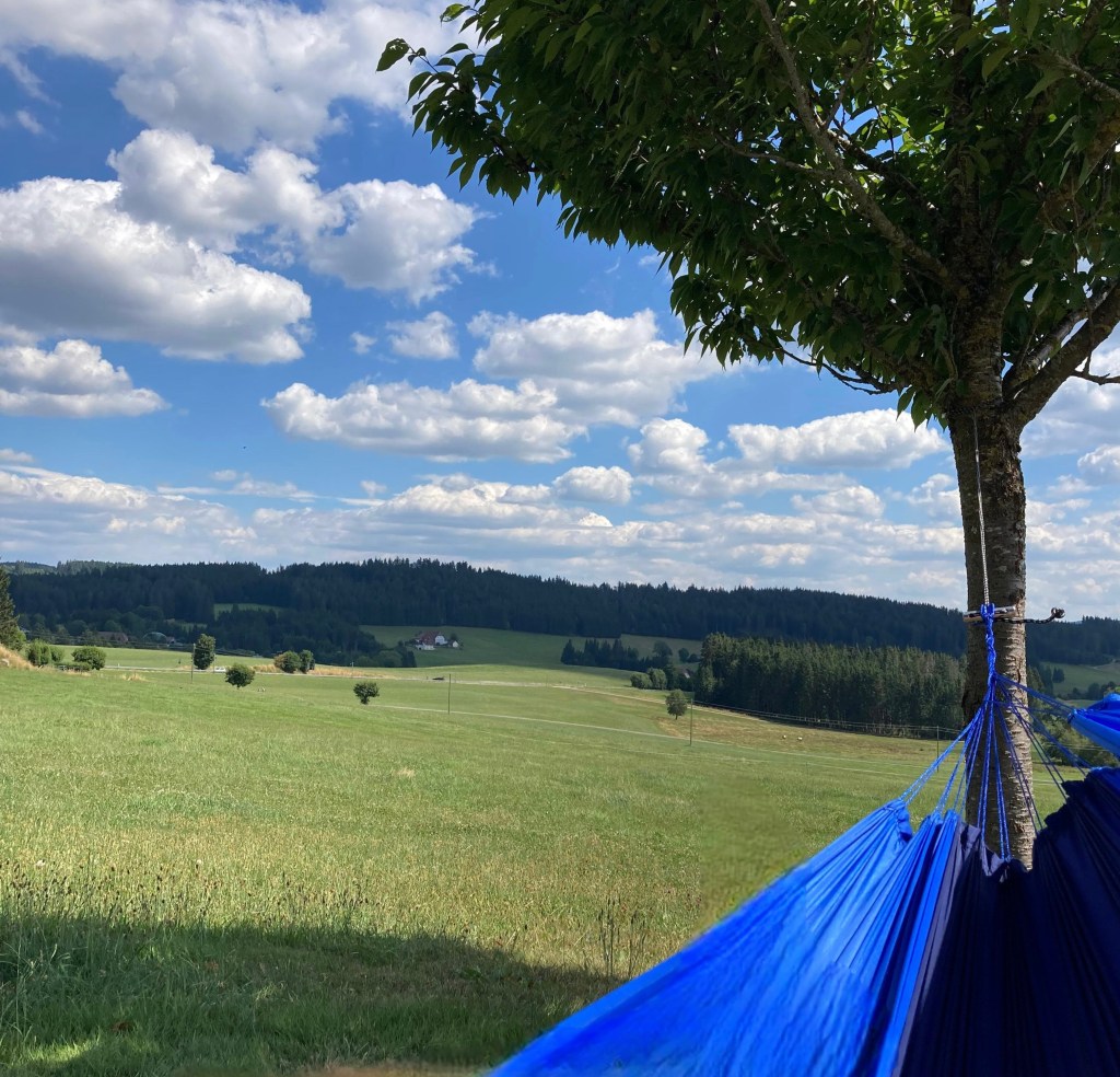 Lichtimpuls #5 – Erholung als wichtiger Teil der Unterrichtsvorbereitung